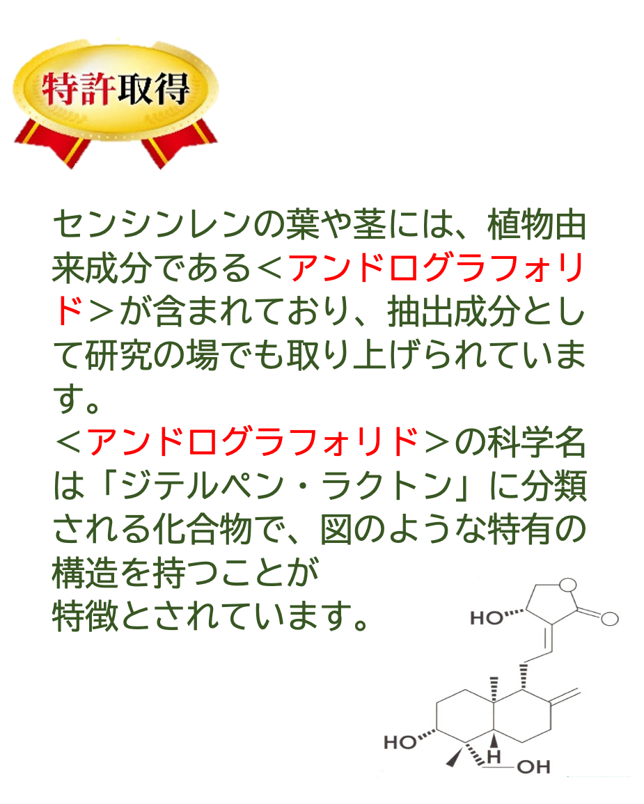 特許（特許第7317309号）
