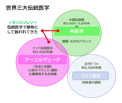 世界三大伝統医学